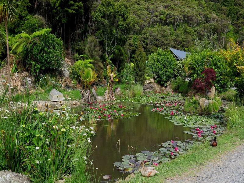 Bay Of Islands Holiday Apartments Paihia Exteriör bild